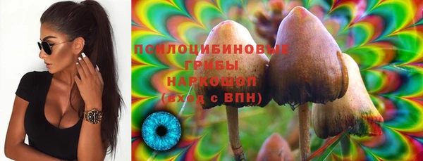 индика Володарск