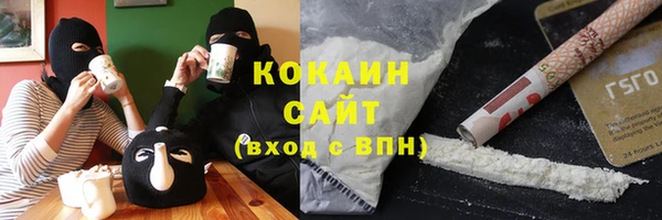 индика Володарск
