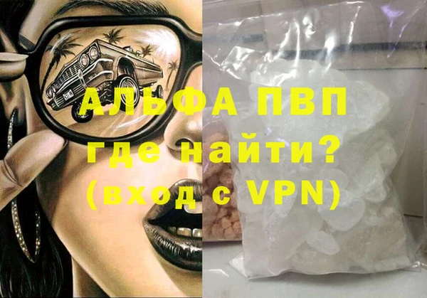 индика Володарск