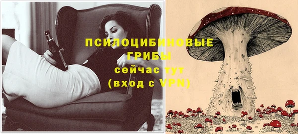 индика Володарск