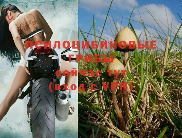 прущая мука Верхний Тагил